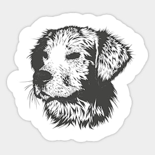 sketch dog Sticker